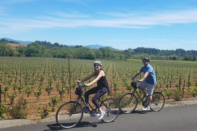 Sonoma Valley Pedal Assist Bike Tour With Lunch - Itinerary Highlights