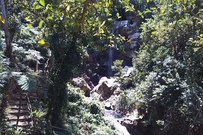 Soufriere Catamaran Excursion & Sapphire Falls Hike - Customer Experiences