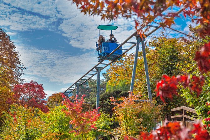 Special Private Tour Nami Island, Rail Bike, Petite France - Pickup and Drop-off Details