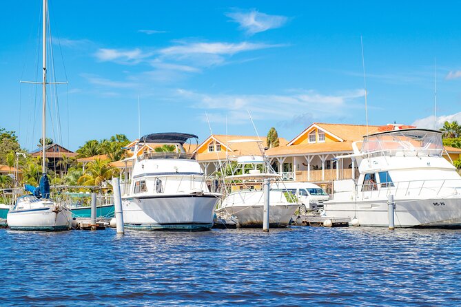 Splashy Iguana Tour in Curacao - Inclusions of the Experience