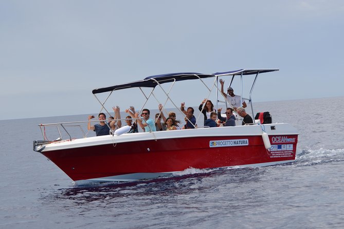 Spring & Autumn Tour: Dolphin Watching - Conditions for Tour Participation