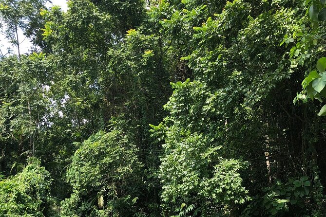Srimangal Nature Tour in Forest and Tea Garden - Inclusions of the Tour