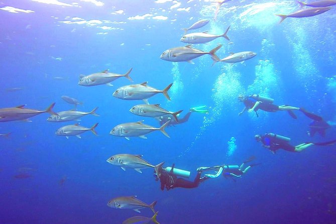 SSI/PADI Open Water Diver Course - Course Inclusions