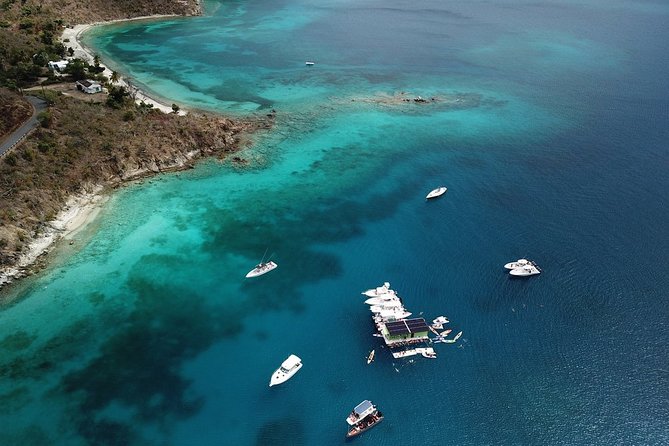 St. John Full-Day Lime Out Snorkel Taco Lunch & Open Bar - Westin - Lunch at Floating Taco Bar