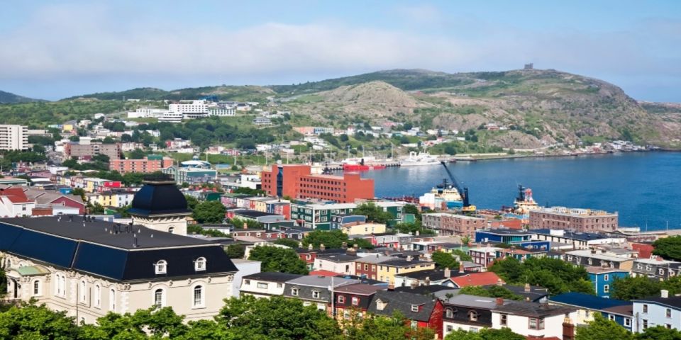 St. John'S: Small Group Tour With Iceberg Quest Boat Cruise - Wheelchair Accessibility