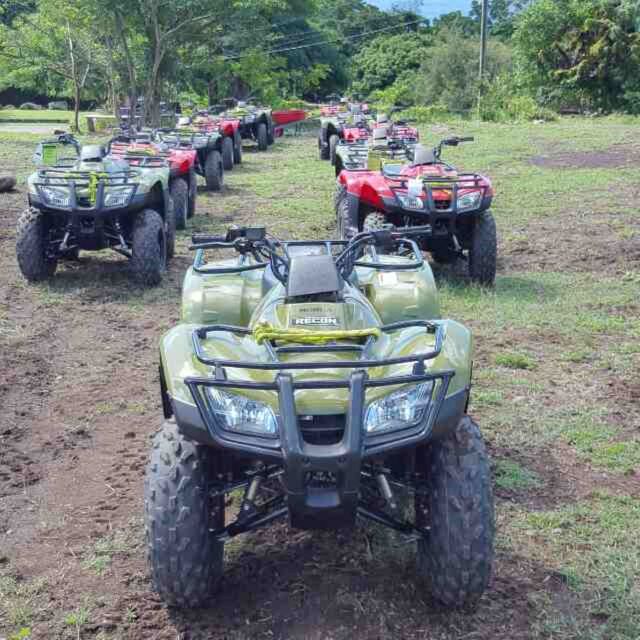 St. Kitts: Jungle Bikes ATV and Beach Guided Tour - Exploring Tropical Jungle