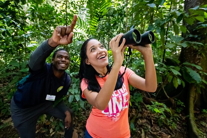 St Lucia Birdwatching Tour at Rainforest Adventures - Included Amenities