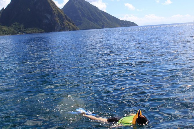 St Lucia Snorkeling Tour With Lunch - Included Amenities and Services