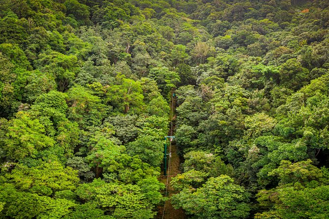 St Lucia Ultimate 3: Aerial Tram, Zipline and Hiking at Rainforest Adventures - Thrilling Zipline Adventure