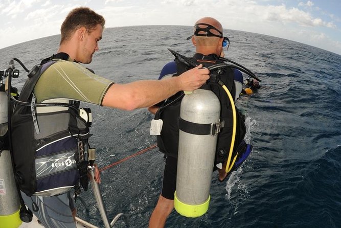 St Maarten Discover Scuba - Dive Experience Details