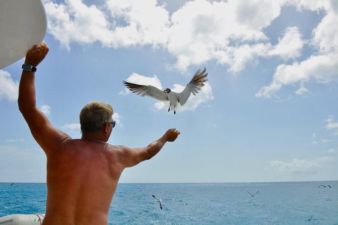 St. Maarten: Fun in the Sun Catamaran Day Trip - Meeting and Pickup