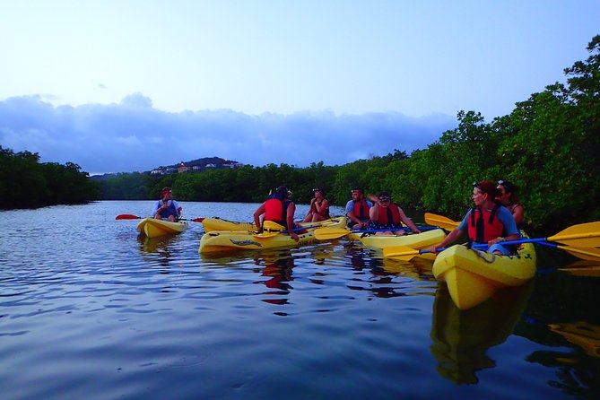 St Thomas Night Kayak Tour - What to Expect