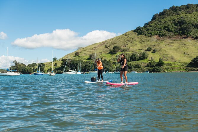 Stand Up Paddle Adventure - Pricing and Booking Information