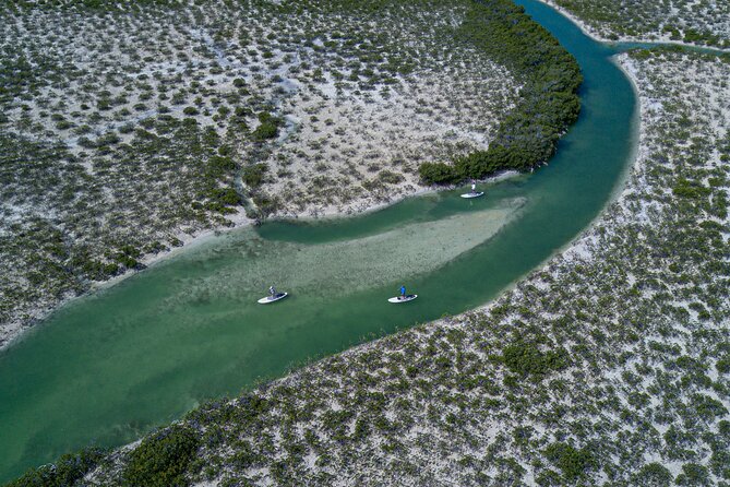 Stand up Paddleboard Eco Tour - Experience and Learning