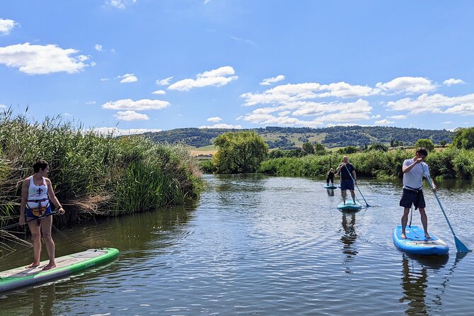 Stand-up Paddleboard SUP Safari on The River Avon For Beginners - Health and Safety Guidelines