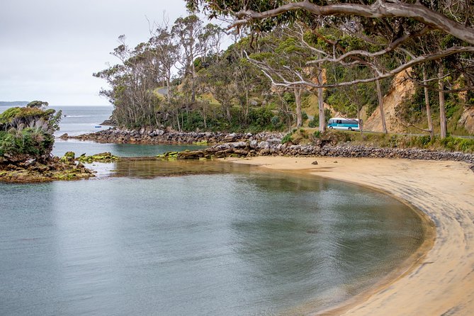 Stewart Island: Village and Bays Tour - Meeting Point Details