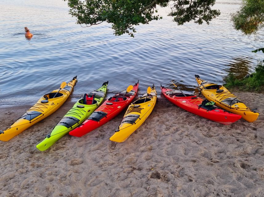 Stockholm: Guided Kayak Tour to Drottningholm Royal Palace - Itinerary and Activities