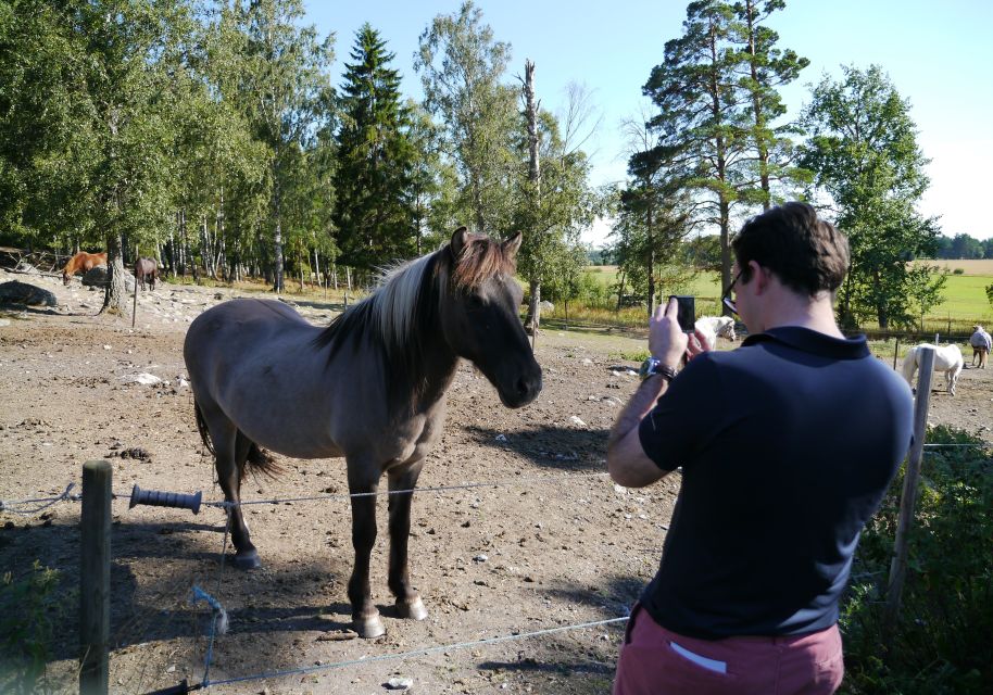 Stockholm Icelandic Horses, Countryside and Swedish History - Highlights of the Swedish Countryside