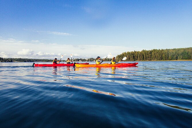 Stockholm: Kayaking Tour Around the Vaxholm Archipelago With Fika - Vaxholm Castle and Fishing Villages