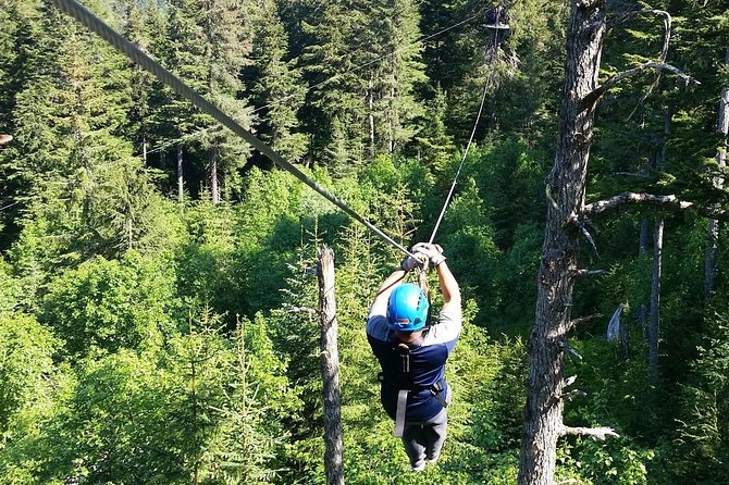 Stoney Creek Canopy Adventure - Tour Logistics