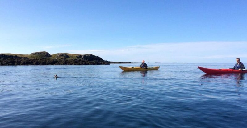 Stykkishólmur: 2-Hour Sea Kayak Tour - What to Expect