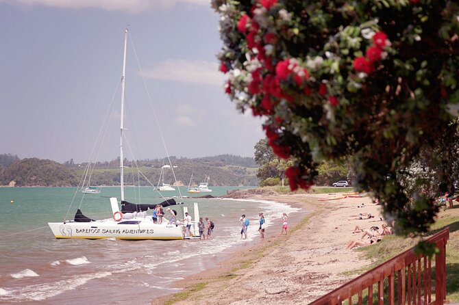 Sundowner Evening Cruise - 2 Hour Evening Sailing Cruise With Swim Stop - Cruise Highlights and Features