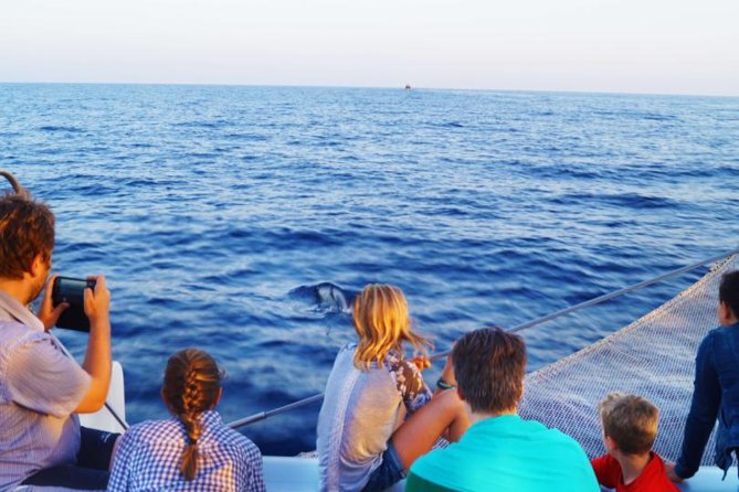 Sunrise Boat Trip in Mallorca With Dolphin-Watching - Meeting Point and Logistics