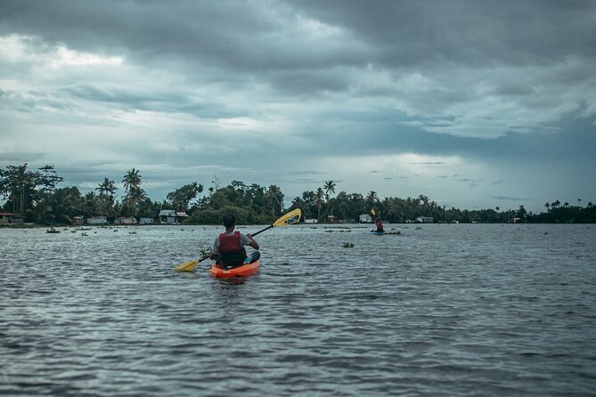 Sunrise Kayaking in Magical Alleppey Backwater Village - Kayaking Through Tranquil Waterways