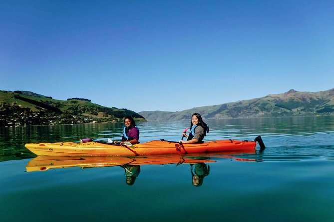 Sunrise Wildlife Sea Kayaking in Akaroa Marine Reserve - Unique Kayaking Experience