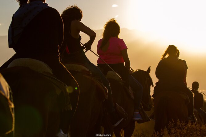 Sunset Horseback Riding - Tour Details and Itinerary