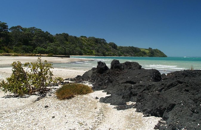 Sunset Kayak Tour to Rangitoto Island - Guides and Support