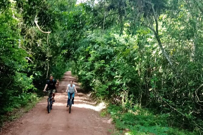 Sunset or Sunrise Bicycle Tour Around Angkor Wat and Nearby Temples - Included in the Tour