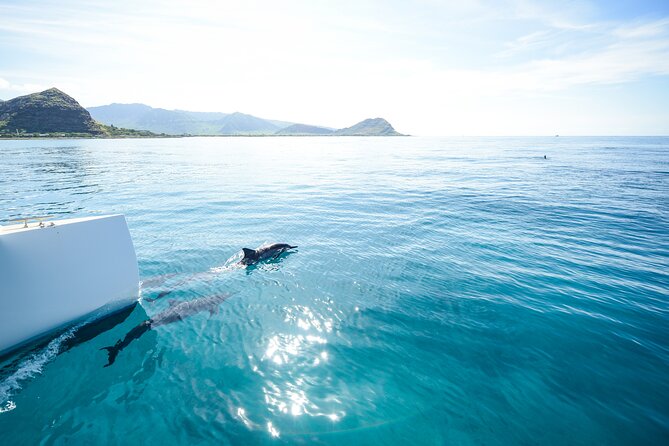 Sunset Sail Experience at Kona From Honokohau - Meeting Location