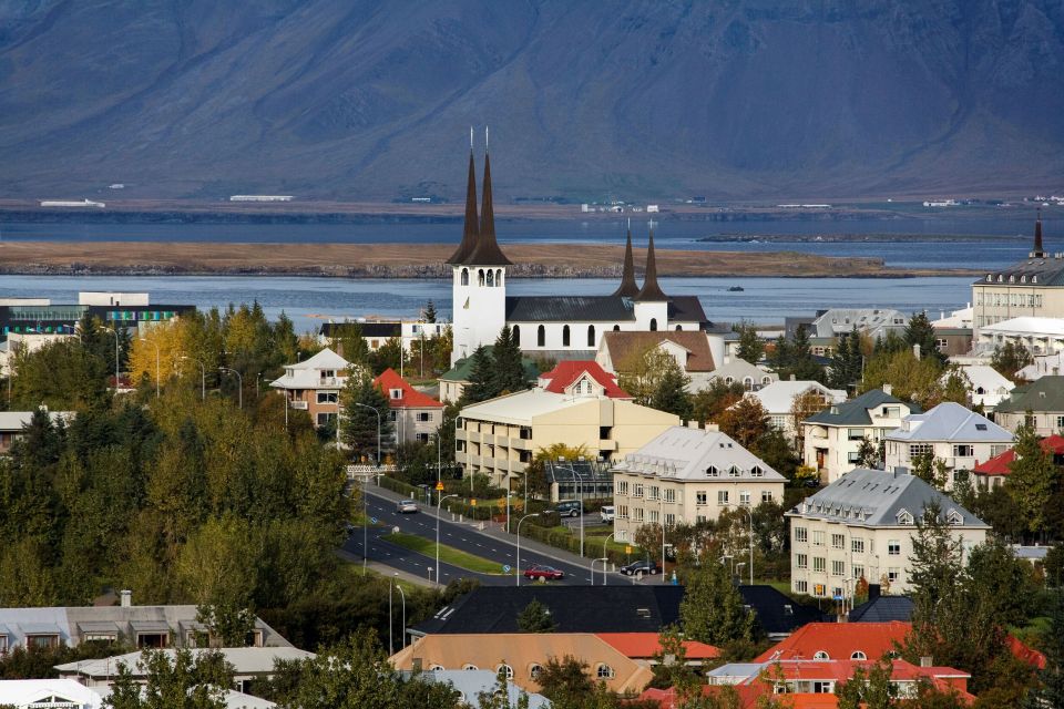 Surprise Tour of Reykjavik Guided by a Local - Booking Information