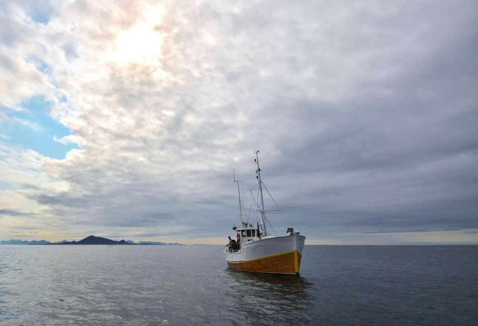 Svolvær: Fishing Trip on the Lofoten Sea - Types of Fish to Catch