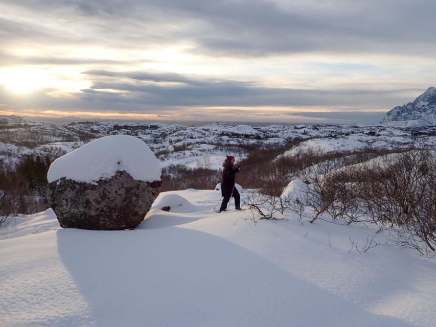 Svolvaer: Snowshoeing Half Day - Experience Highlights