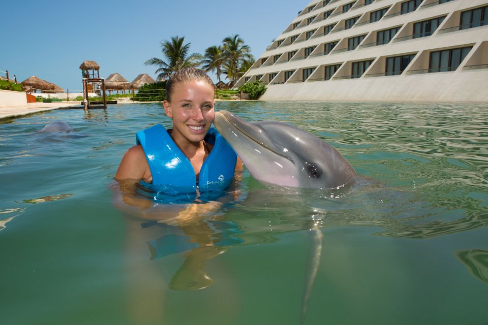 Swim With Dolphins Splash - Punta Cancun - Dolphin Physiology and Anatomy