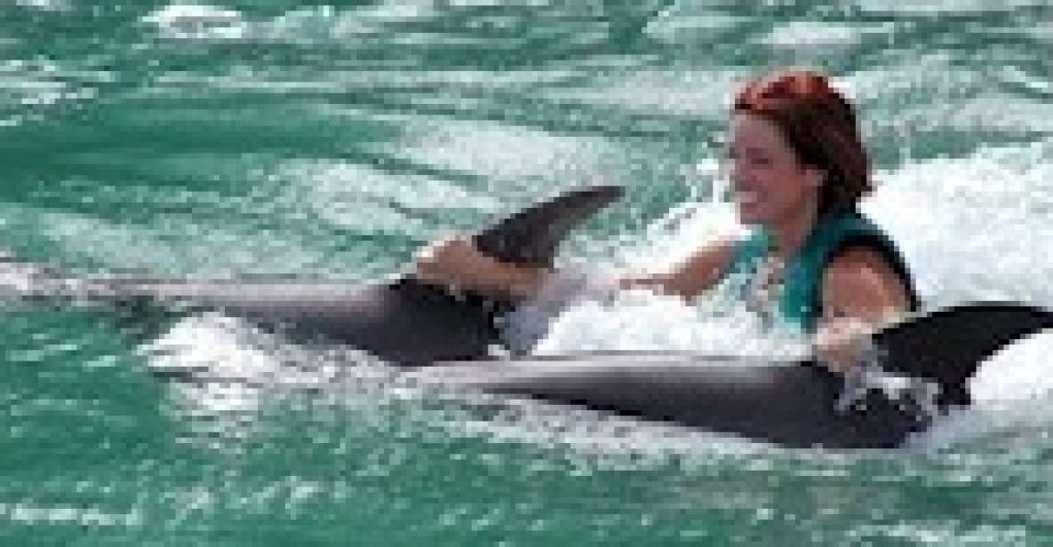 Swim With the Dolphins at Negrils Dolphin Cove - Explore Negrils Dolphin Cove