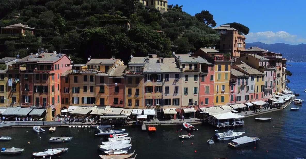 Swimming Cetacea Private Tour Boat Genova Portofino - Pricing and Booking Details