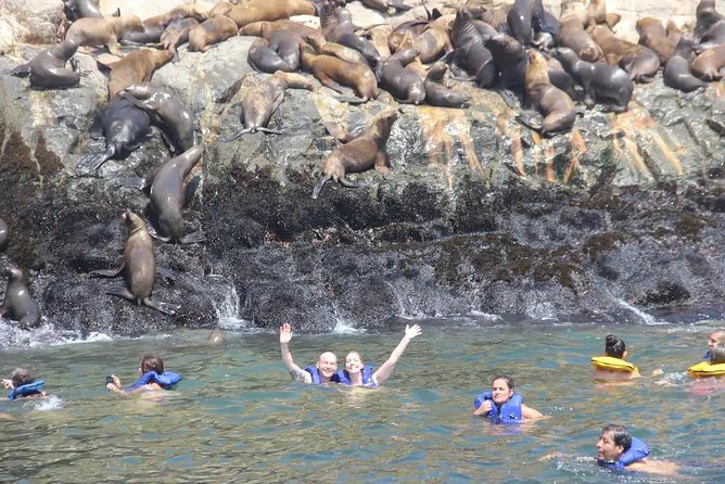 Swimming With Sea Lions in Lima - Transportation and Pickup Details