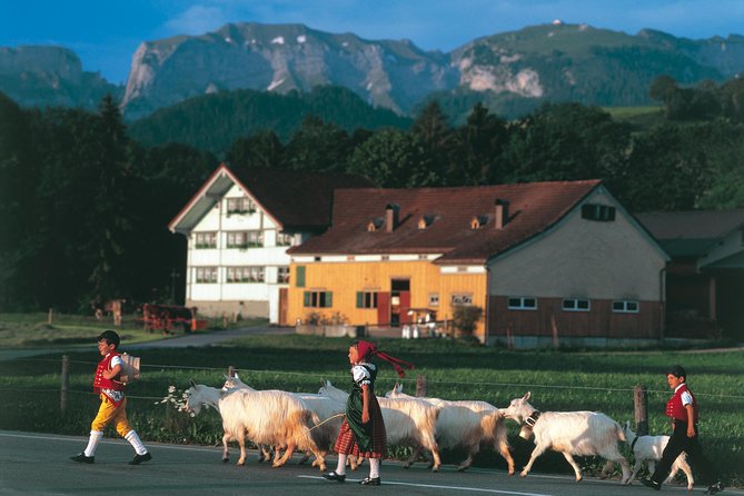 Swiss Cheese, Chocolates and Mountains Small-Group Tour From Zurich - Carbon-Balanced Tour Operations