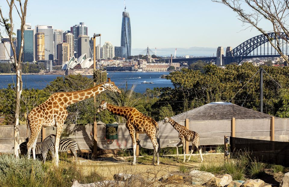 Sydney: Taronga Zoo Ticket With Return Ferry - Zoo Highlights and Activities