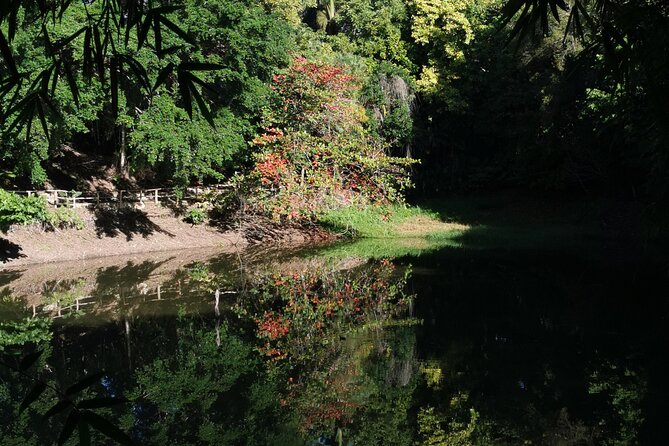 Taino Valley Tropical Park Puerto Plata Tubagua - Meeting and Pickup Details