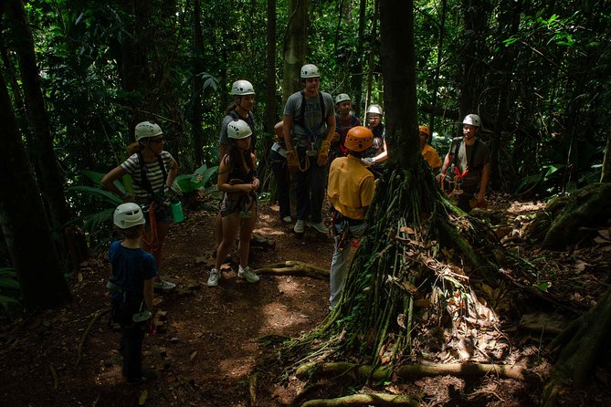 Take Your Adrenaline to the Fullest With Our Zipline Tour! - Safety Measures