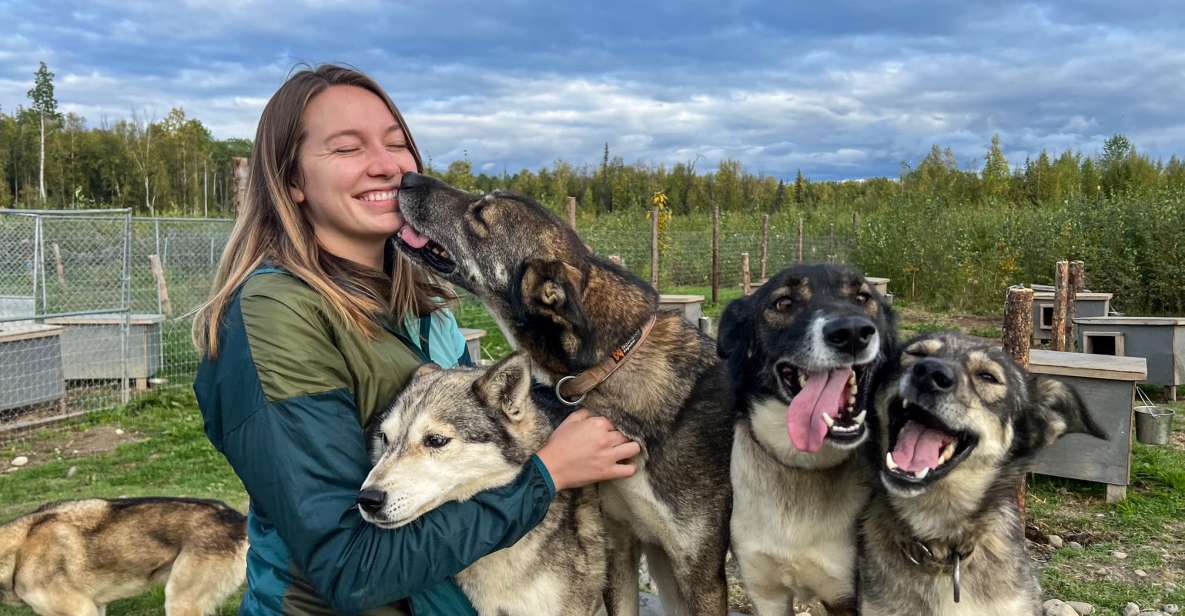 Talkeetna: Summer Sled Dog Kennel Tour - Highlights of the Experience