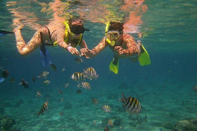 Tamarindo Kayaking Tour With Snorkeling at Captain Island - Health and Safety Information
