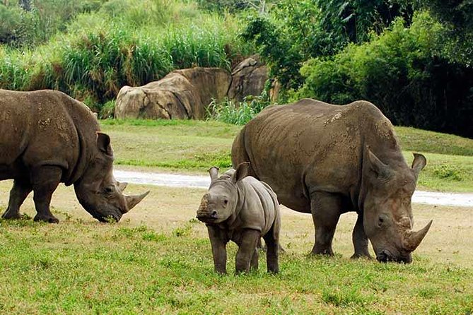 Tampa Bay CityPASS® - Attractions Included in CityPASS