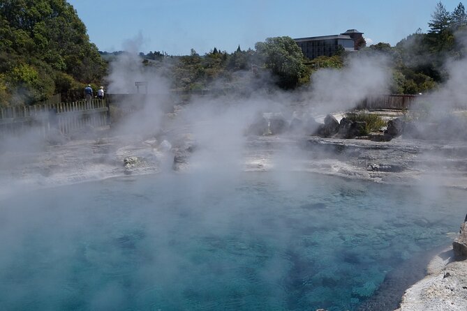 Tauranga Shore Excursion: Rotorua Highlights - Highlights of Rotorua