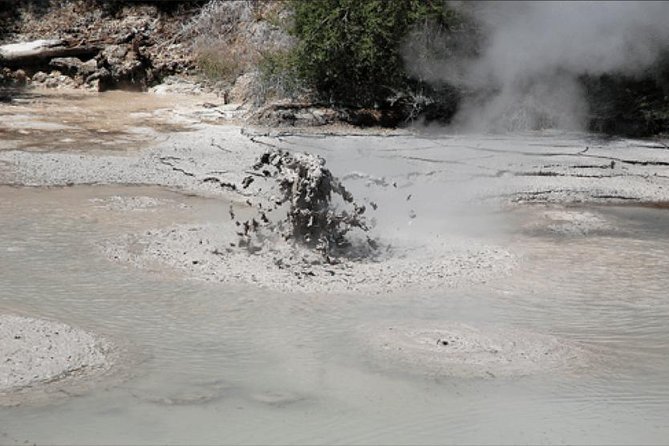Tauranga Shore Excursion: Rotorua Tour Including Gondola Ride and Fun Luge (Opt) - Activities and Experiences