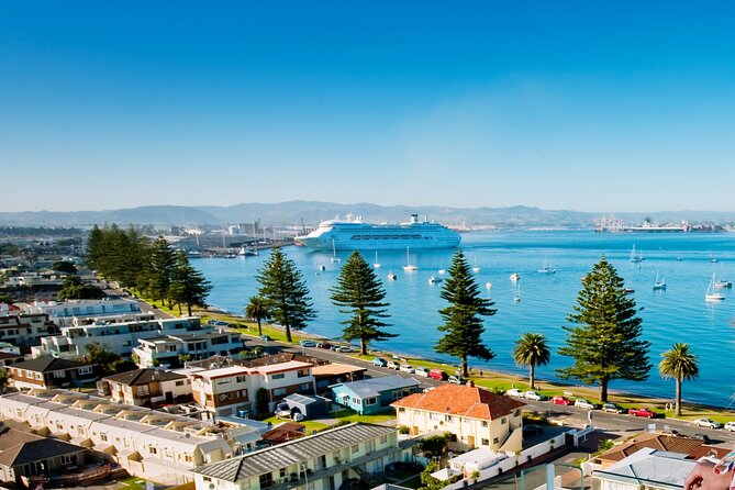 Tauranga Shore Excursion: Small-Group Bay of Plenty and Tauranga Tour - Meeting and Departure Details